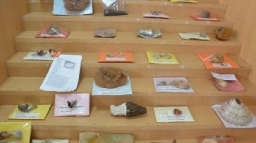 Kırıkkale&rsquo;de Yetişen Mantarların Genetikleri Tespit Edilecek