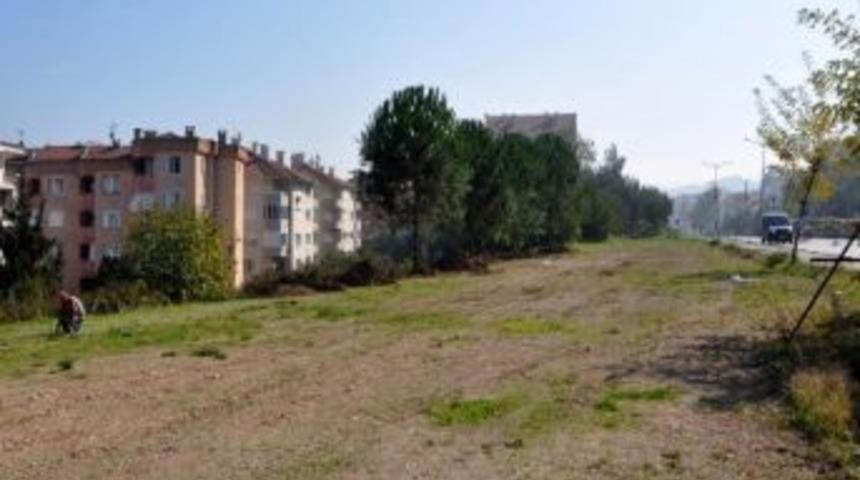 Mudanya Belediyesi S&ouml;k&uuml;len Ağa&ccedil;ları Değerlendiriyor