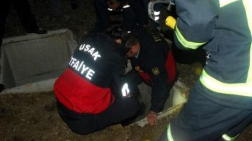 G&uuml;venlik g&ouml;revlisini darp edip fosseptik &ccedil;ukuruna attılar