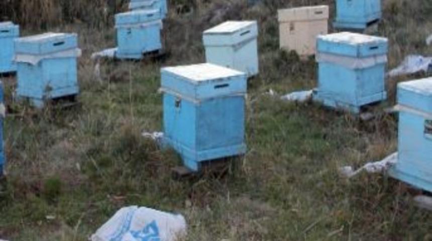 Ardahan Gen Merkezine Ait Arılı Kovanlar Yağmacılığa Uğradı