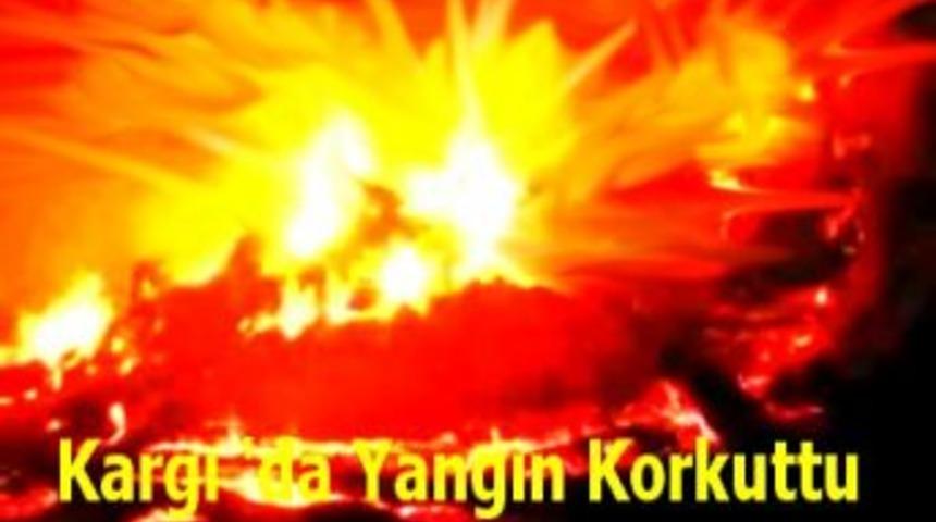 Kargı 'da yangın korkuttu