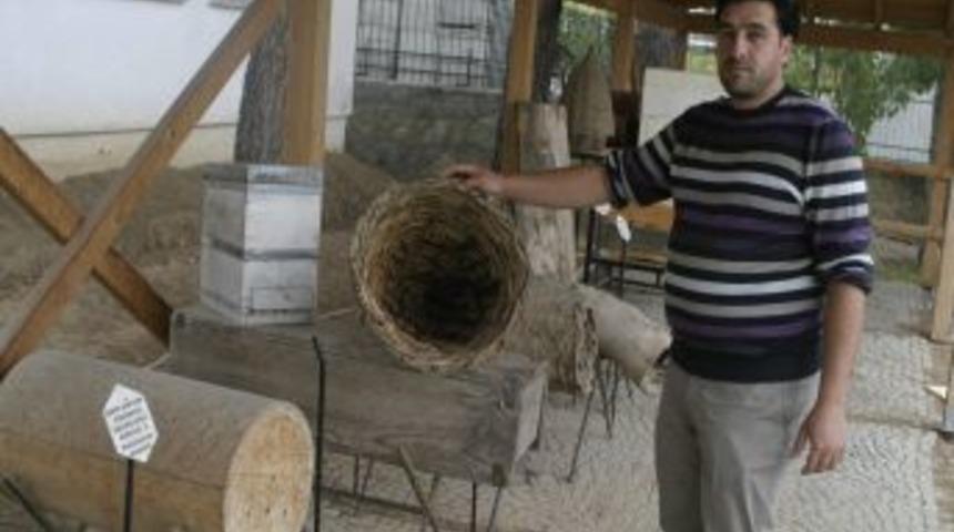 M&uuml;zede &Ccedil;ocuklara Arıları Sevdiriyorlar