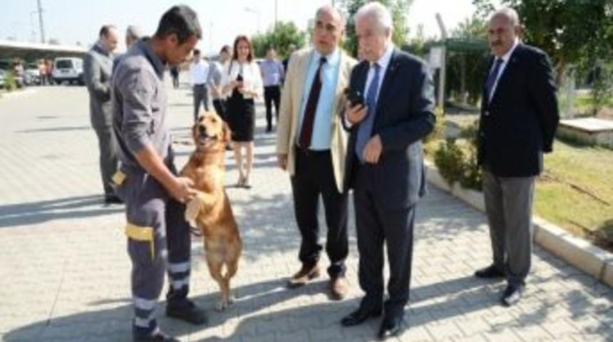 Bu K&ouml;peğin G&ouml;revi Metan Gazı Ka&ccedil;ağını Belirlemek