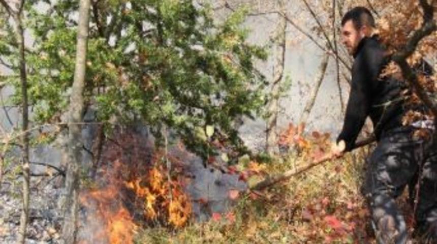 Samsun&rsquo;da Orman Yangını