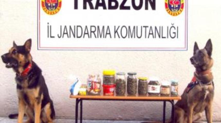 Trabzon'da 21 Adet Tabanca Mermisi Ele Ge&ccedil;irildi