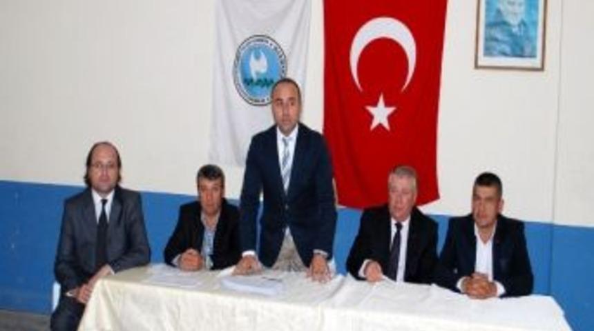 Zeytin Eksperleri Zeytin Alımına Hazır