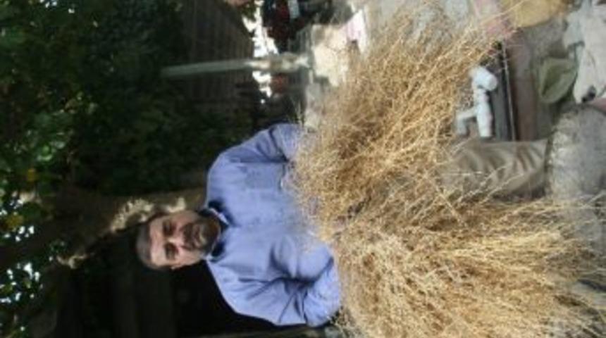 Zeytin Hasadının Başlaması Nedeniyle &Ccedil;alı S&uuml;p&uuml;rgesi Satışı Arttı