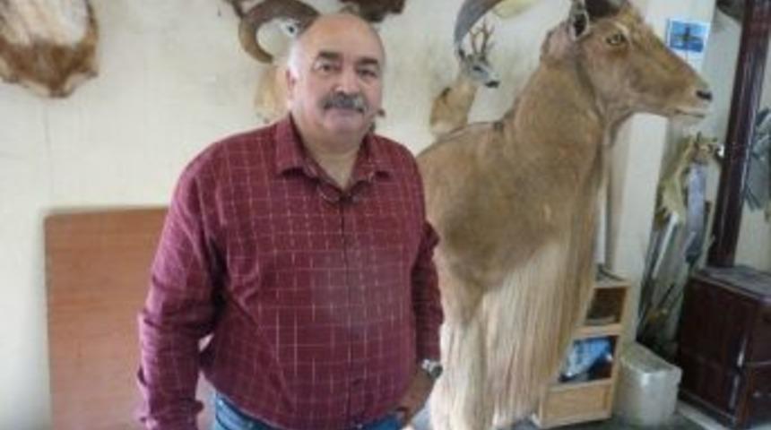 &Ouml;ld&uuml;r&uuml;len Leoparın İ&ccedil;i Beykoz&rsquo;da Doldurulacak