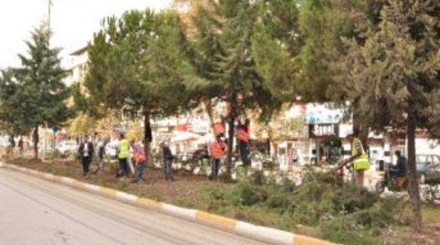 Erbaa'da Ref&uuml;je Yaya Yolu