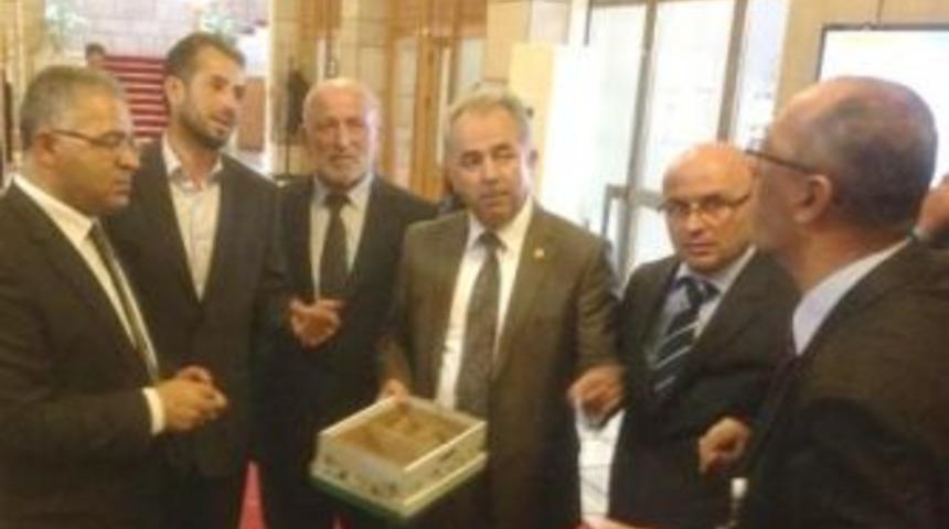 Altınova'nın kivi ve &Ccedil;ileği, TBMM&acute;de