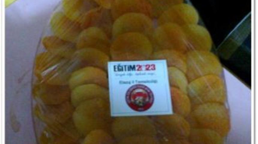 Eğitim 2023 Derneği sponsor arıyor