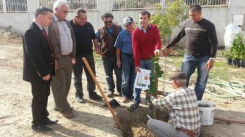 Uygulamalı &Ccedil;ift&ccedil;i Eğitimiyle Kulaktan Duyma Tarım Son Buluyor