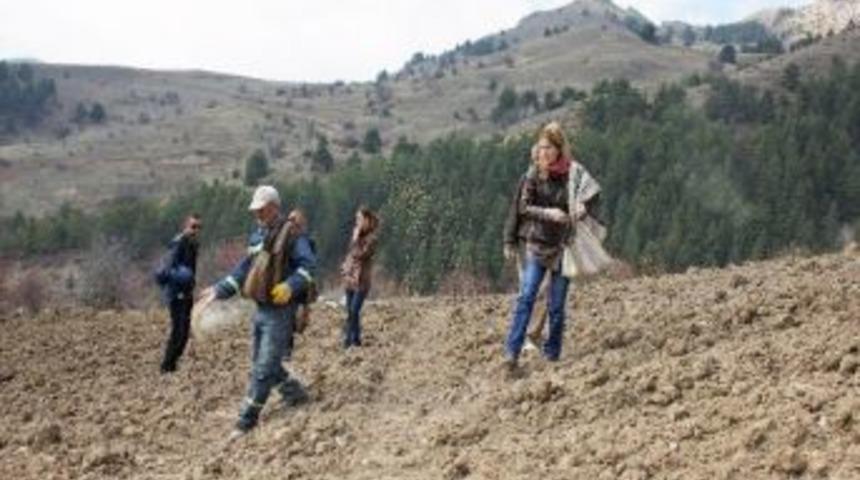 G&uuml;m&uuml;şhane&rsquo;de Kelkit Pop&uuml;lasyonu Artıyor