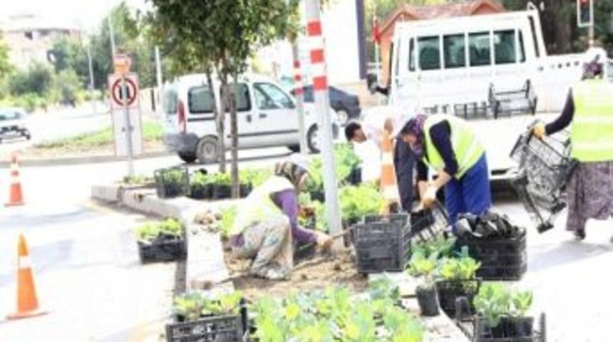 &Ccedil;ubuk Belediyesi Park Ve Bah&ccedil;eler M&uuml;d&uuml;rl&uuml;ğ&uuml; Kışa Hazır