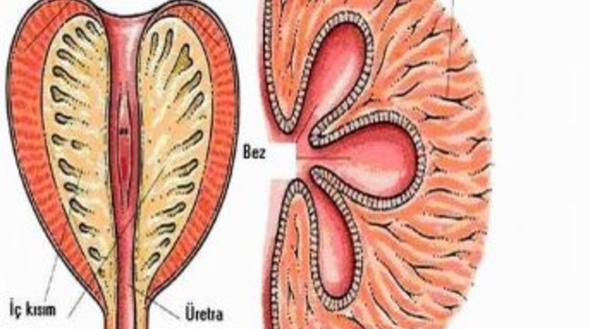 Prostat B&uuml;y&uuml;mesi 45 Yaş &Uuml;zeri Erkeklerle Daha &Ccedil;ok G&ouml;r&uuml;l&uuml;yor