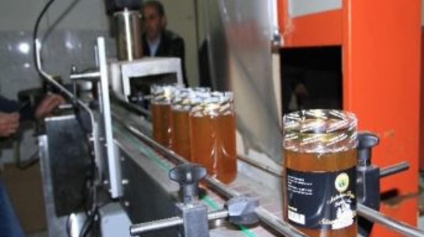 Ardahan&rsquo;da Bal Paketleme Başladı