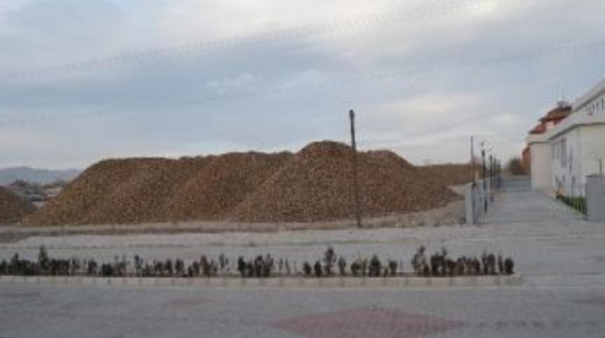 Şuhut&rsquo;ta Hastane Ve Kamu Binalarını Fareler Bastı