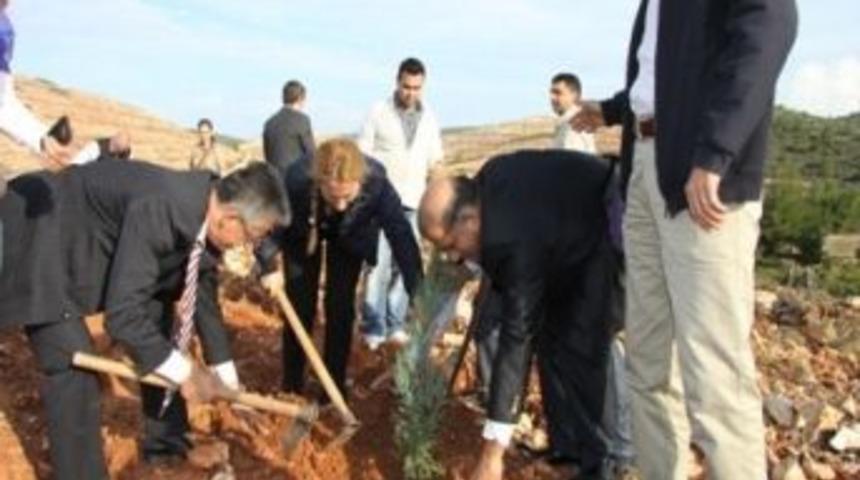 Urla'da Organ Ve Doku Bağışları Hatıra Ormanı Oluşturuldu