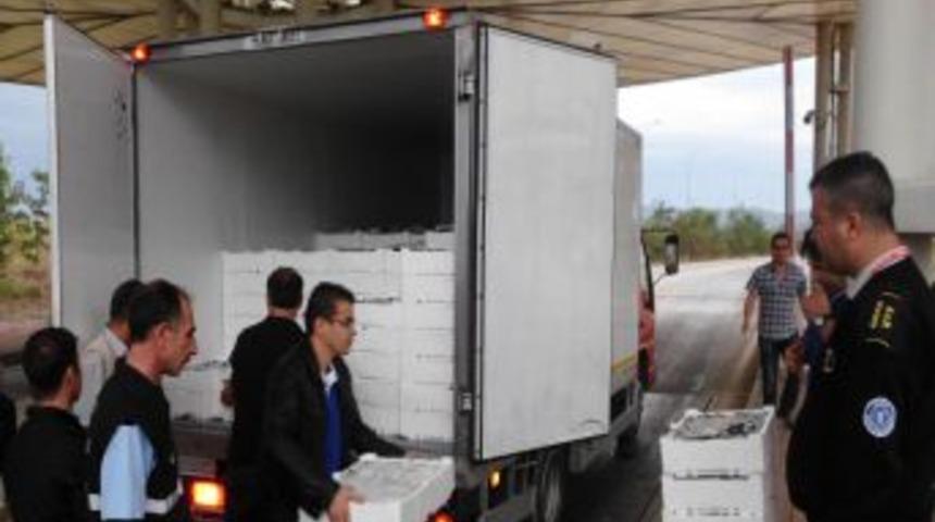 Zabıta 878 Kilogram Balığa El Koydu