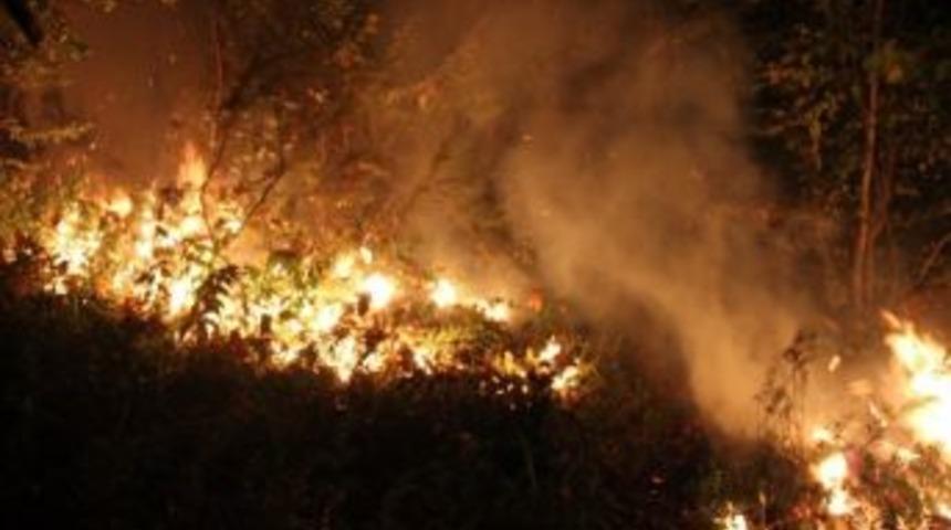 Ordu&rsquo;da Orman Yangını