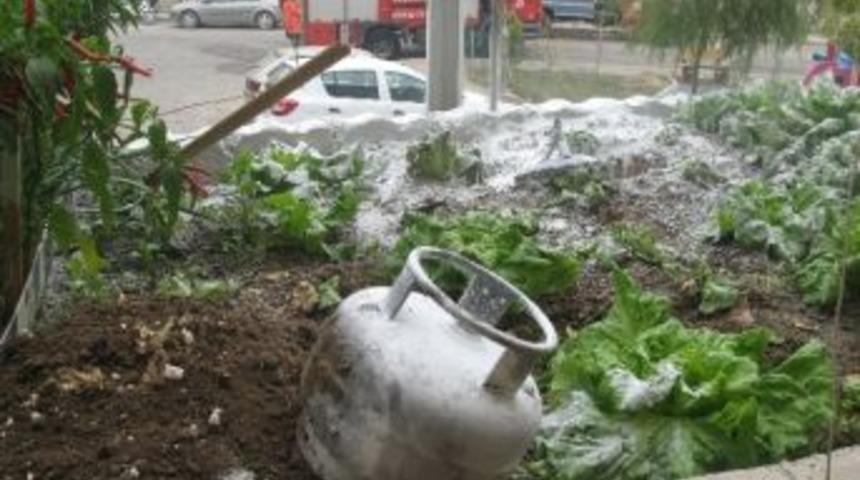 Alev Alan T&uuml;p&uuml; &Uuml;&ccedil;&uuml;nc&uuml; Kattan Fırlattı