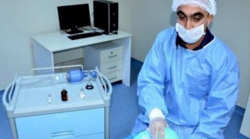 &Ccedil;om&uuml;dam&rsquo;da Deney &Ccedil;alışmalarının Kalitesi Arttı