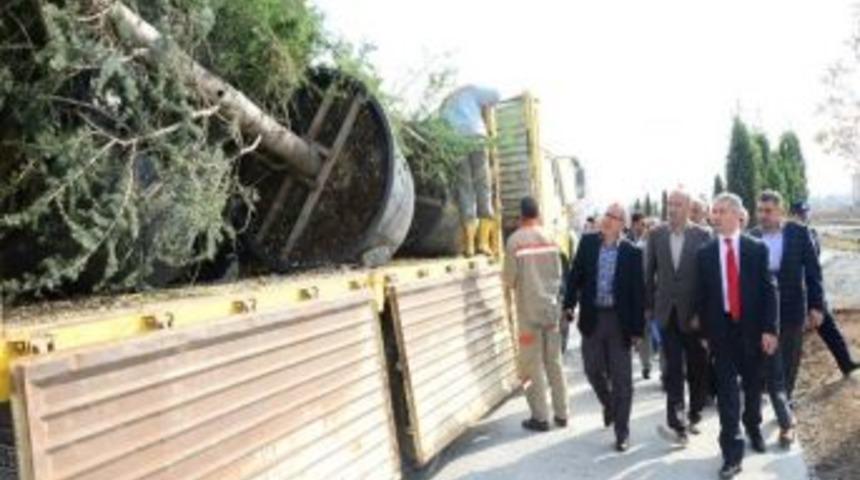 Orman B&ouml;lge M&uuml;d&uuml;r&uuml; Mere, Yeşil Vadi'yi İnceledi