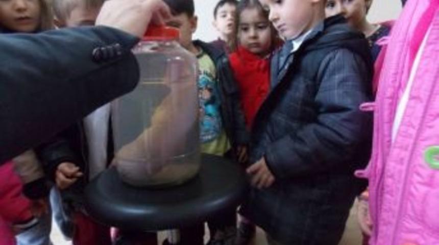 Minikler Veterinerlik Fak&uuml;ltesi&rsquo;ni Gezdi