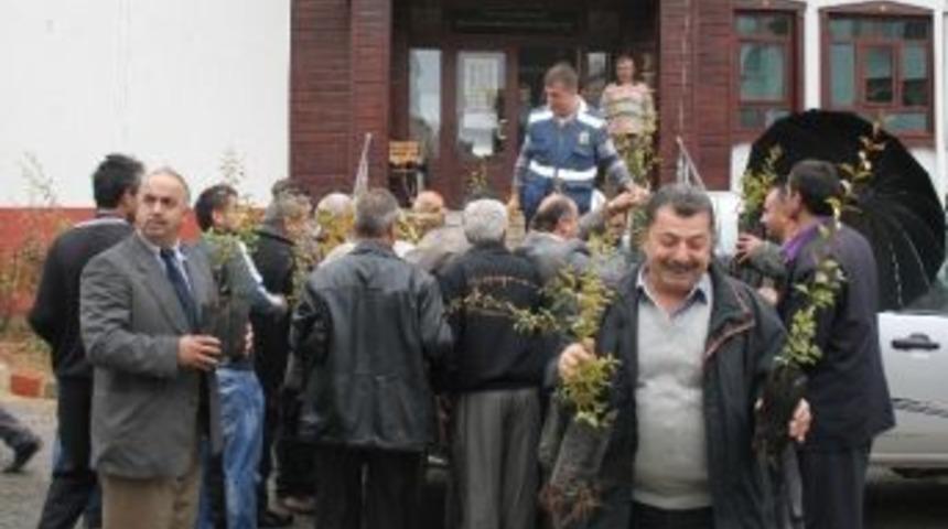 Orman Arıcılara Fidan Dağıttı