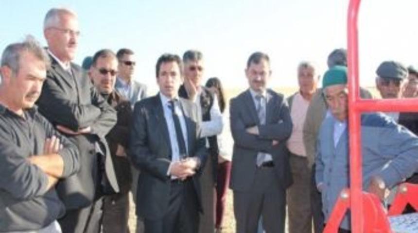Abuşağı Kasabasında Tarla G&uuml;n&uuml;