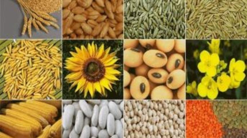 2013 Yılı &Uuml;r&uuml;n&uuml; Fark &Ouml;deme Destekleme &Ccedil;alışmaları Başladı