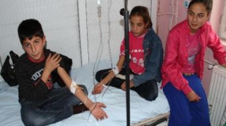 Van'da yemekten zehirlenen 100 &ouml;ğrenci hastaneye kaldırıldı
