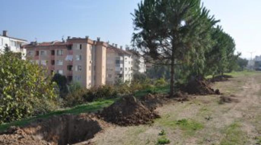 Mudanya Adalet Sarayı I&ccedil;in S&ouml;k&uuml;len &Ccedil;amlar Cami Bah&ccedil;esine Dikiliyor