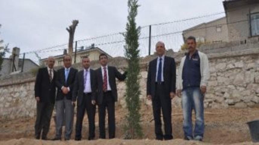 Cihanbeyli&rsquo;de H&uuml;k&uuml;met Konağı Arkası Ağa&ccedil;landırıldı