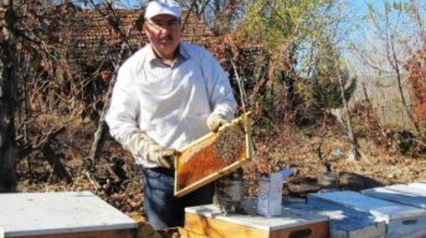 Hisarcık&rsquo;ta Arılara Sonbahar Bakımı