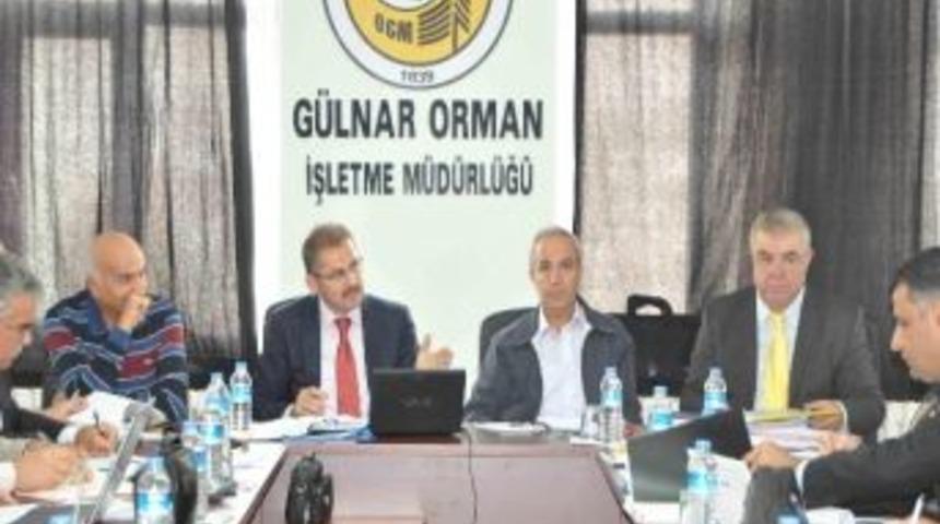 Orman B&ouml;lge M&uuml;d&uuml;rl&uuml;ğ&uuml; Toplantısı G&uuml;lnar&rsquo;da Yapıldı