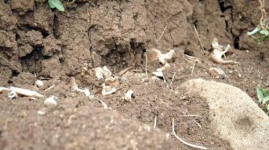 T&uuml;rkiye İnsan Hakları Kurumu, İnşaatta Bulunan Kemikleri İnceledi