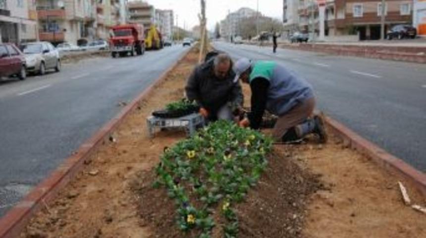 Ağa&ccedil;landırma &Ccedil;alışmalarından Sonra &Ccedil;i&ccedil;ek Dikimi &Ccedil;alışmaları Başladı