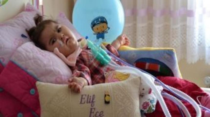 Elif Ece&rsquo;yi Kaybettik