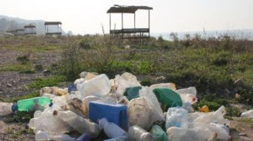 Alaplı Sahilinde &Ccedil;&ouml;p Tepkisi