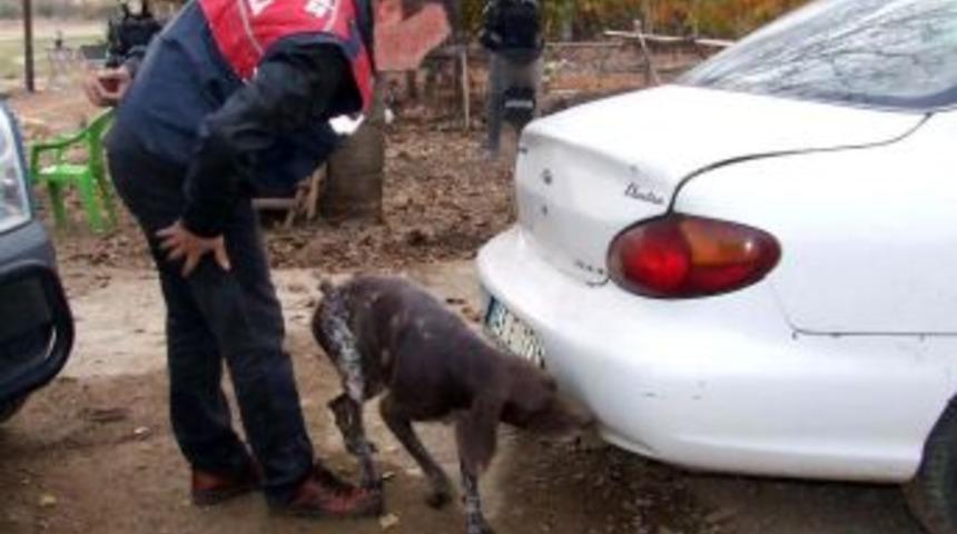 Jandarmadan Uyuşturucu Operasyonu: 13 G&ouml;zaltı