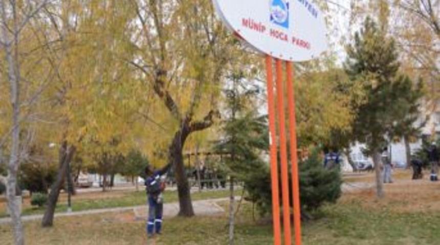 Kocasinan&rsquo;da Ağa&ccedil;lara Kışlık Bakım