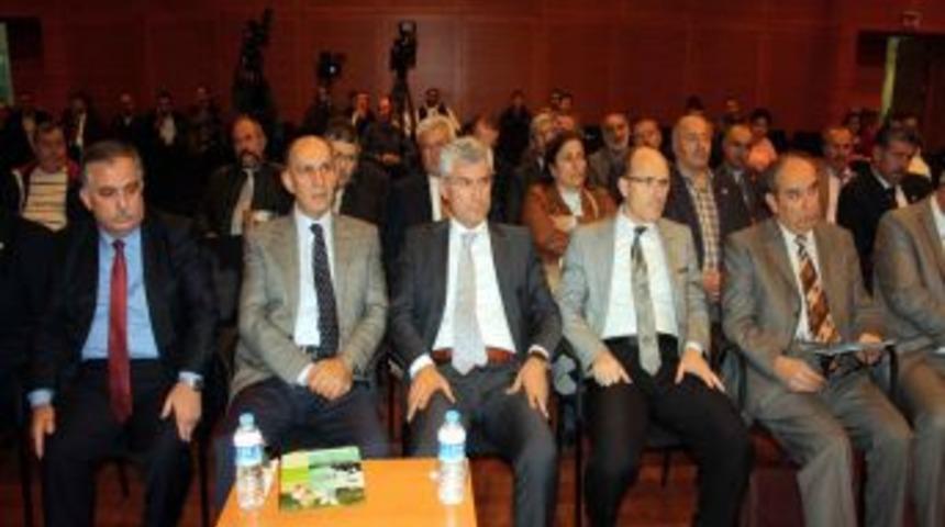 Bursa&rsquo;da Baz Istasyonları Sağlık Riski Taşımıyor