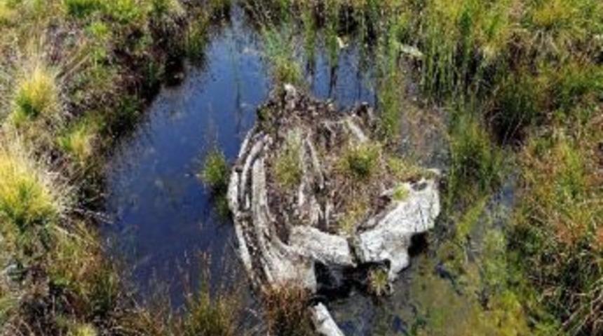 Tarihi &lsquo;kervan Yolu&rsquo; Yeniden Canlanacak