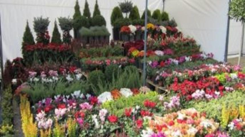 &Ouml;demişli Fidancılar Sergiye Hazır