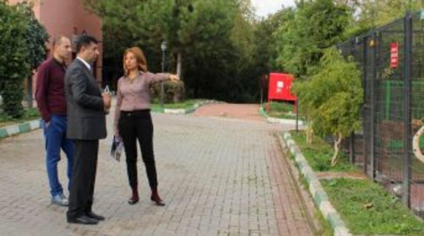 Sahipsiz Hayvanlar Barınağı İstanbul&rsquo;a &Ouml;rnek Oldu