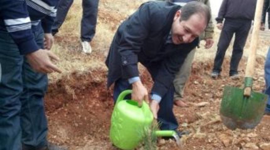 5 Bin Fidan Ve Tohum Toprakla Buluşturuldu