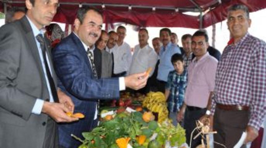 Alanyalı &Ccedil;ift&ccedil;iye Makine Ve Ekipman Desteği