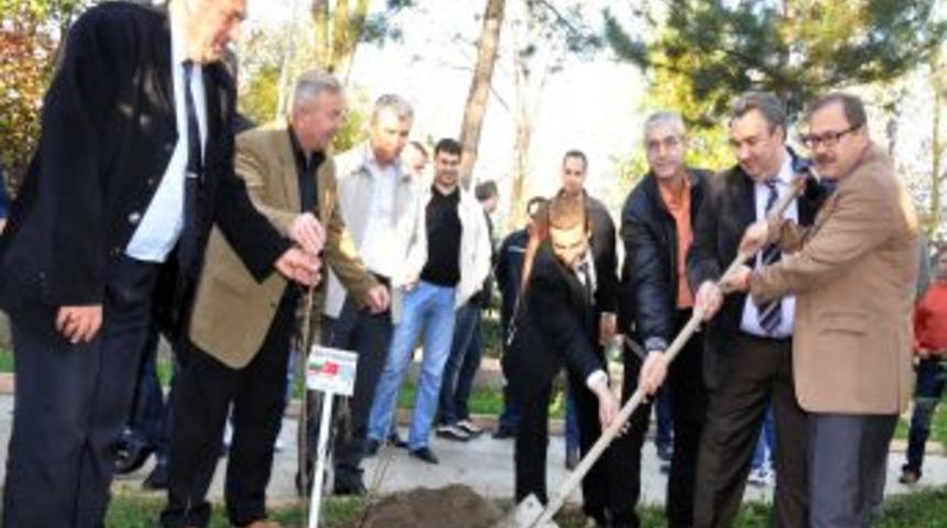 T&uuml;rk, Bulgar Ve Yunan Polisi Dostluk Fidanı Dikti