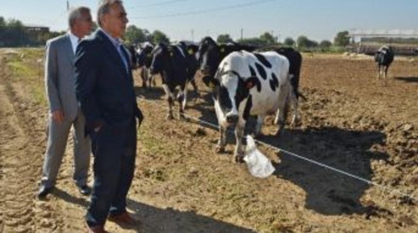 İzmir B&uuml;y&uuml;kşehir Belediye Başkanı Aziz Kocaoğlu: